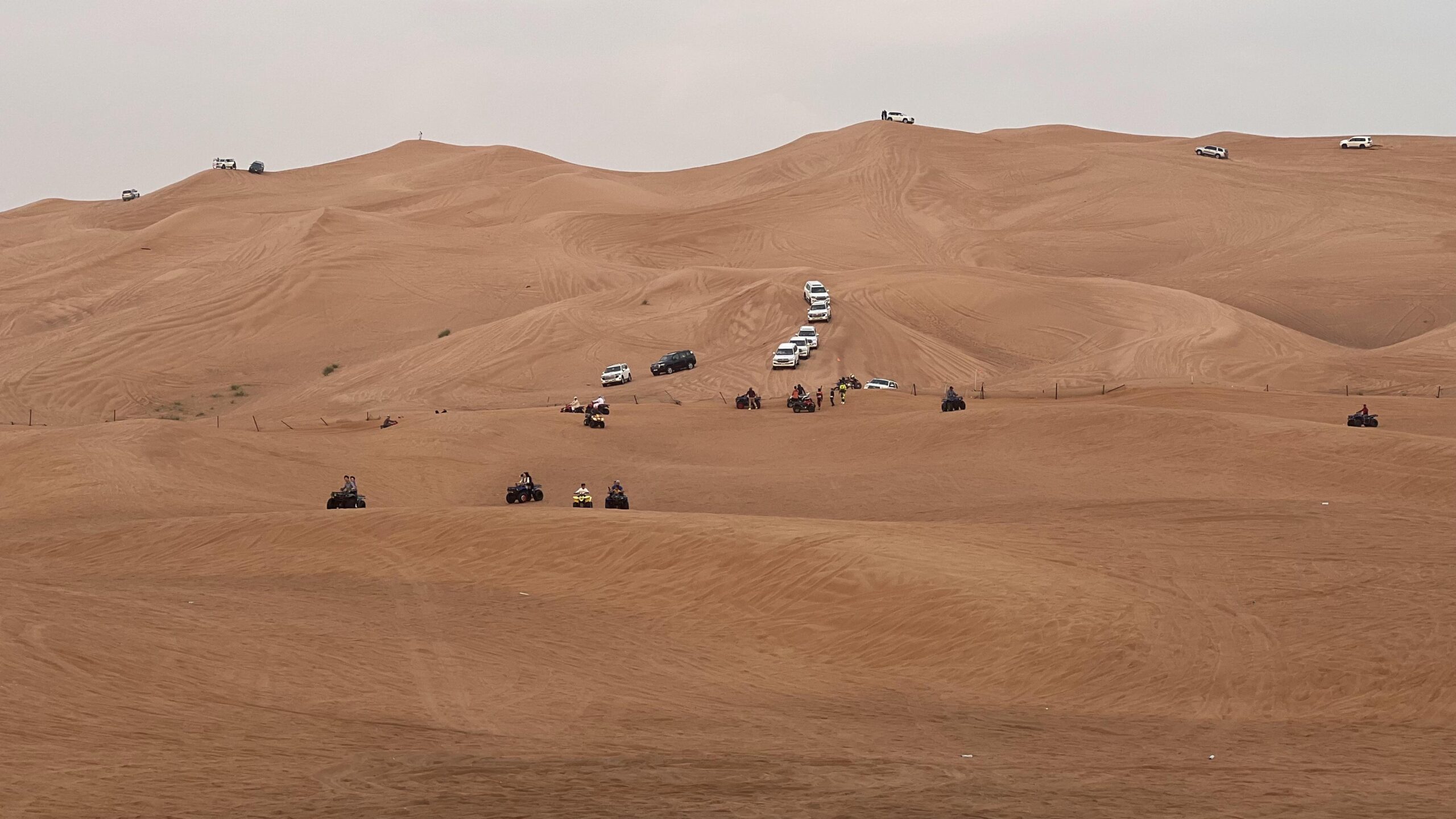 Dune Bashing 